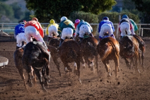 Grand Prairie Horse Race Photo by Gene Devine on Unsplash